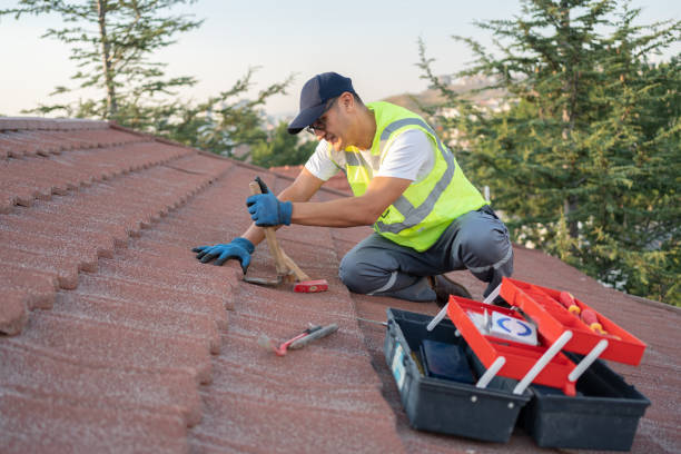 Best Commercial Roofing Services  in Lake Vla, IL