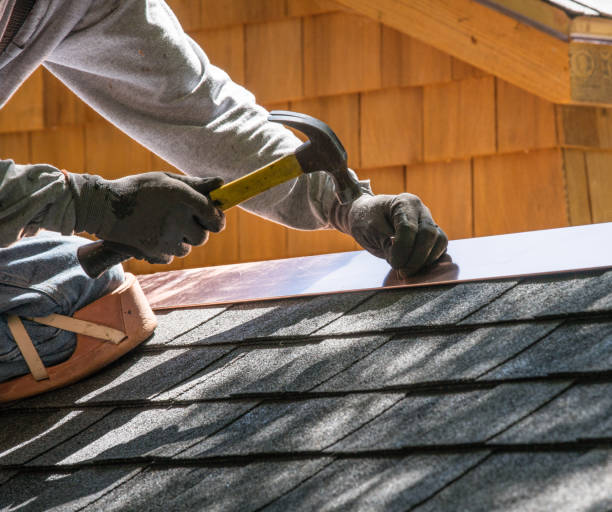 Best Roof Gutter Cleaning  in Lake Vla, IL